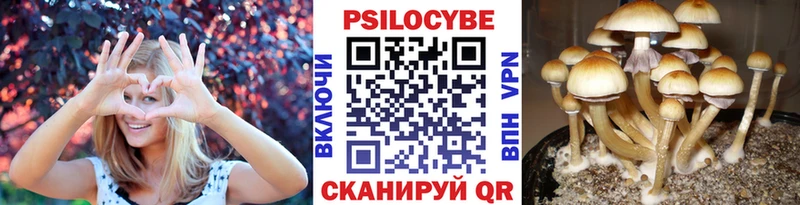 где найти наркотики  Абакан  Псилоцибиновые грибы ЛСД 